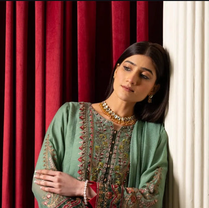 Beautiful women heavy embroidary Pakistani/indian readymade Dress